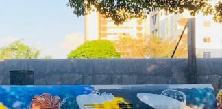Artista faz obra de arte em homenagem ao ET de Varginha artista faz obra de arte em homenagem ao et de varginha